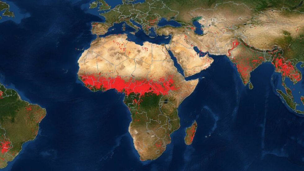 xartis afriki pyrkagies